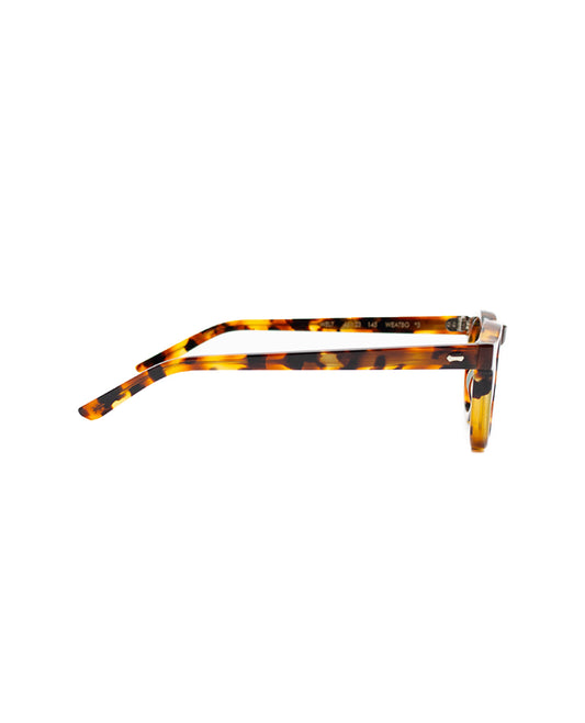WELT AMBER TORTOISE | BOTTLE GREEN - TBD EYEWEAR